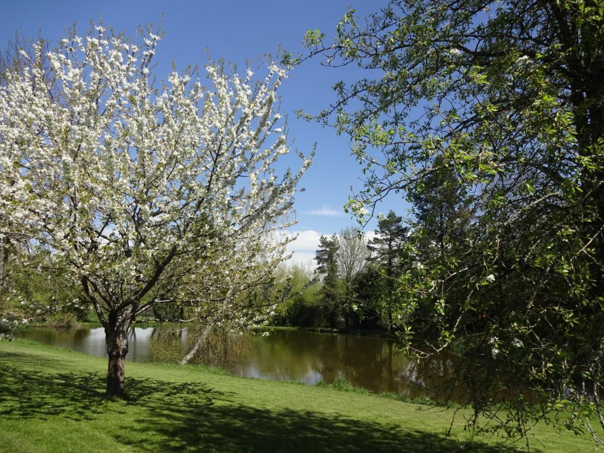Maison De Campagne En Limousin Dury  Zewnętrze zdjęcie